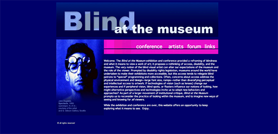 Screen shot of home page for Blind at the Museum website