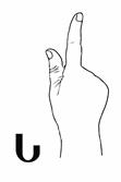 This dactyl is copying the same letter s from the Georgian alphabet with a mirror asymmetry. The index finger and the thumb are extended up and the palm is facing forward. The other fingers are bent in a fist.