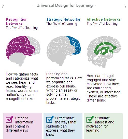 Universal Design for Learning chart