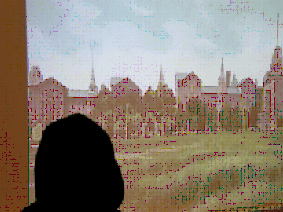 Detail, Shadow of a person viewing Landscape, 2008