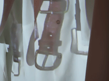 Detail, Still Life, 2008