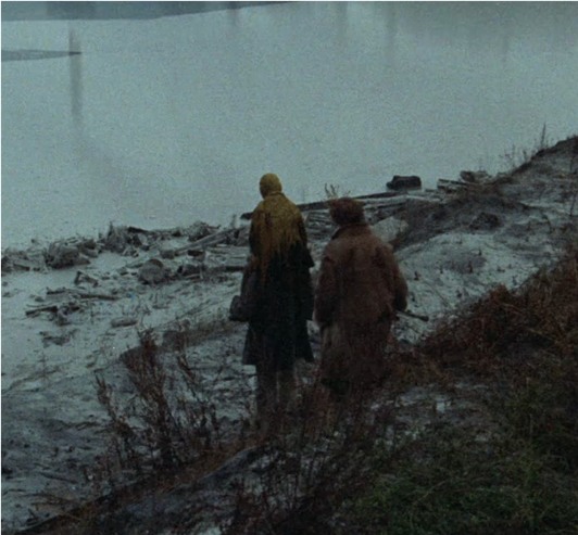 Photo of a small group of people standing on a snowy beach