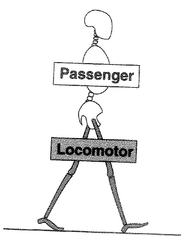 skeleton that is walking and has a sign over its chest that says Passenger and a sign over the top of its legs that says Locomotor