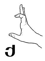 The thumb and the index fingers are performing the modified C while the other fingers are extended.