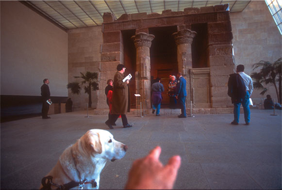 Hand Over Dog: Joseph at the Temple of Dendur, Metropolitan Museum of Art, 1995