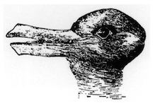 Image showing a shape that from one angle appears to be a rabbit's head and from another angle appears to be a duck's head