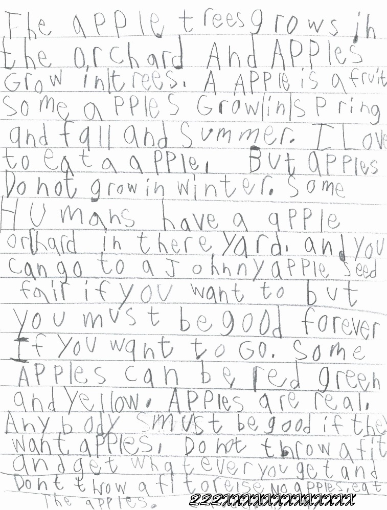 A handwritten essay in pencil written by Jaylen.